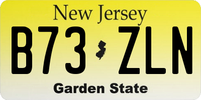 NJ license plate B73ZLN