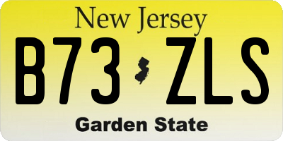 NJ license plate B73ZLS