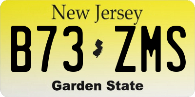 NJ license plate B73ZMS