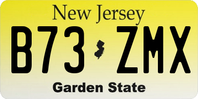 NJ license plate B73ZMX