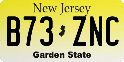 NJ license plate B73ZNC