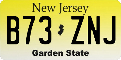 NJ license plate B73ZNJ
