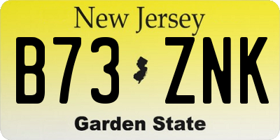 NJ license plate B73ZNK