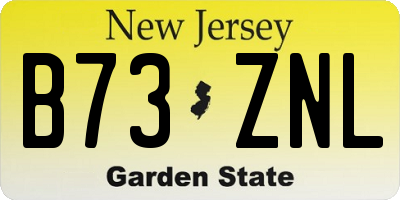 NJ license plate B73ZNL