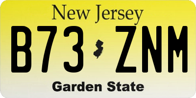 NJ license plate B73ZNM
