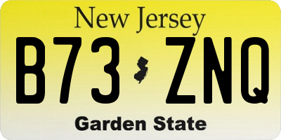 NJ license plate B73ZNQ