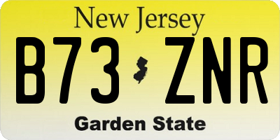 NJ license plate B73ZNR