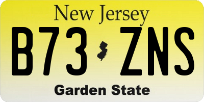 NJ license plate B73ZNS