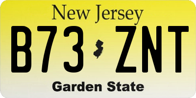 NJ license plate B73ZNT