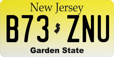NJ license plate B73ZNU