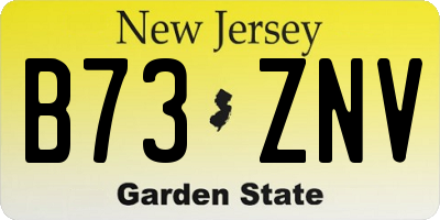 NJ license plate B73ZNV