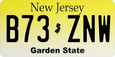 NJ license plate B73ZNW