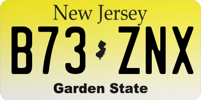 NJ license plate B73ZNX