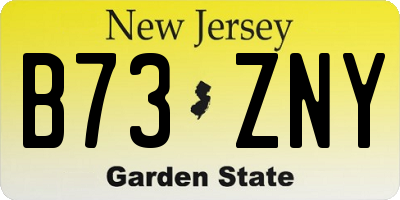 NJ license plate B73ZNY