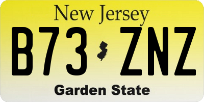 NJ license plate B73ZNZ