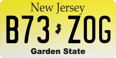 NJ license plate B73ZOG