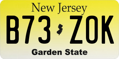 NJ license plate B73ZOK