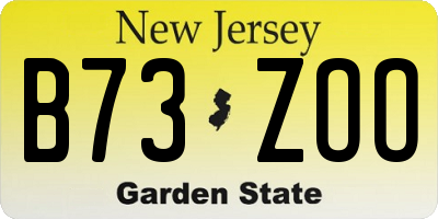 NJ license plate B73ZOO