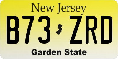 NJ license plate B73ZRD