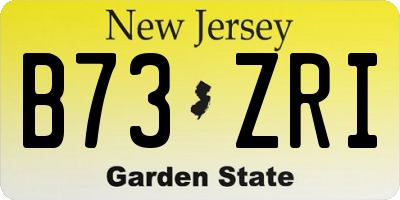 NJ license plate B73ZRI