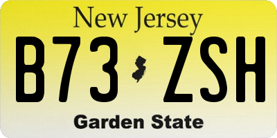 NJ license plate B73ZSH