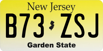NJ license plate B73ZSJ