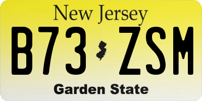 NJ license plate B73ZSM