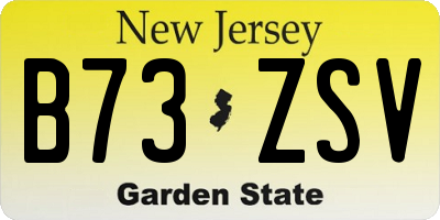 NJ license plate B73ZSV