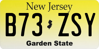 NJ license plate B73ZSY