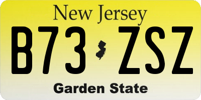 NJ license plate B73ZSZ