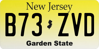 NJ license plate B73ZVD