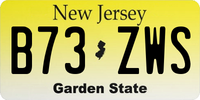 NJ license plate B73ZWS