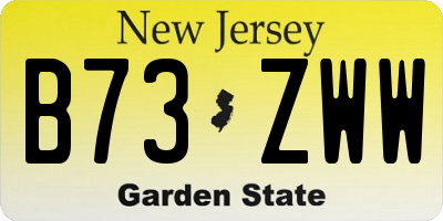 NJ license plate B73ZWW