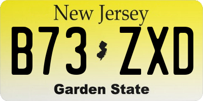 NJ license plate B73ZXD