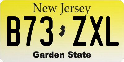 NJ license plate B73ZXL