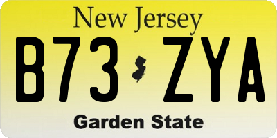 NJ license plate B73ZYA