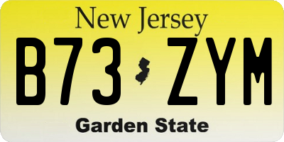 NJ license plate B73ZYM