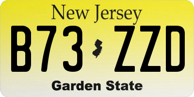 NJ license plate B73ZZD