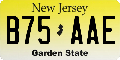 NJ license plate B75AAE