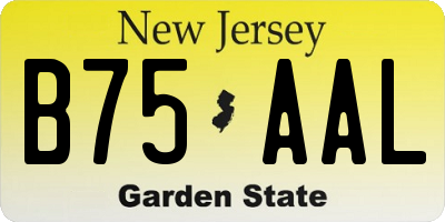 NJ license plate B75AAL