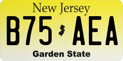NJ license plate B75AEA