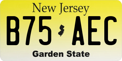 NJ license plate B75AEC