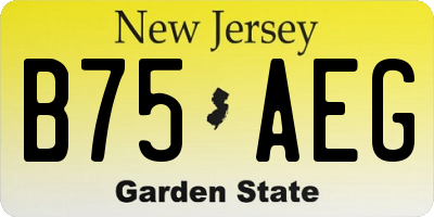 NJ license plate B75AEG