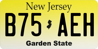 NJ license plate B75AEH