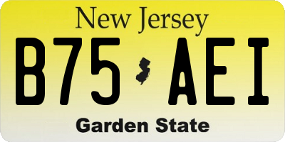 NJ license plate B75AEI