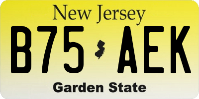 NJ license plate B75AEK
