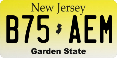 NJ license plate B75AEM