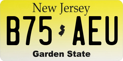 NJ license plate B75AEU