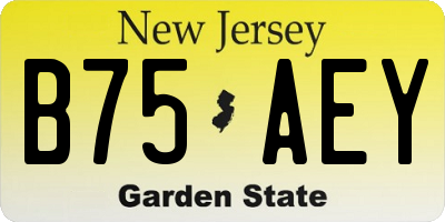NJ license plate B75AEY