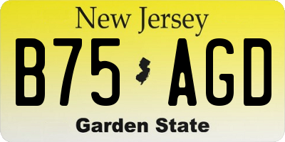 NJ license plate B75AGD